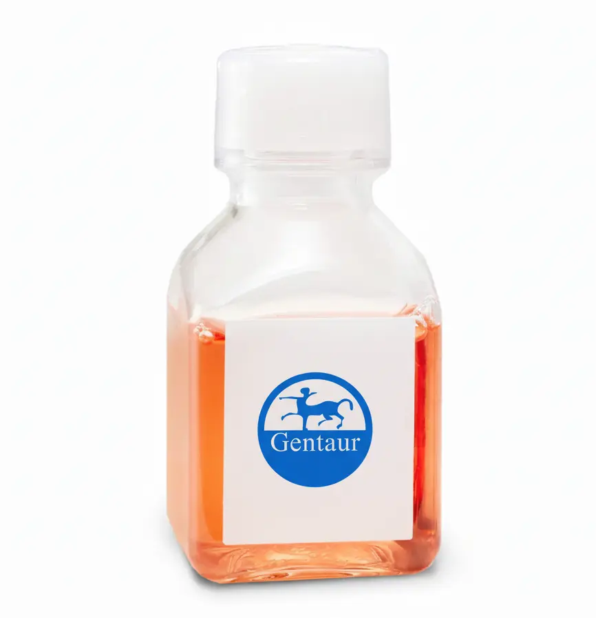 Accutase Cell Detachment Solution 100ml x 5